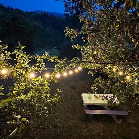 Garden з чаном-джакузі Apartment