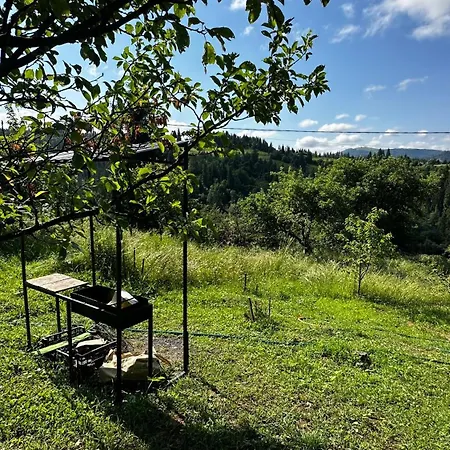 Garden з чаном-джакузі Apartment